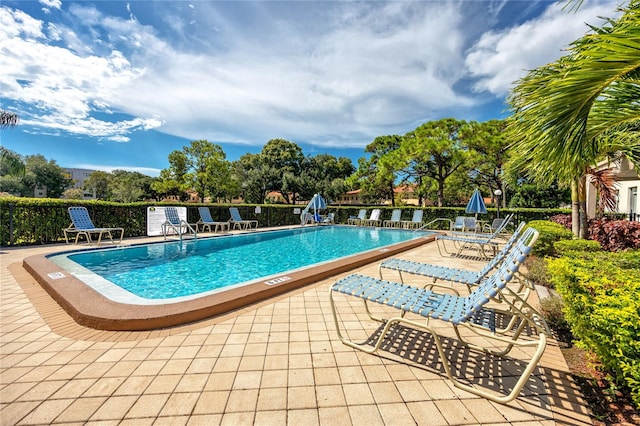 view of swimming pool with a patio area