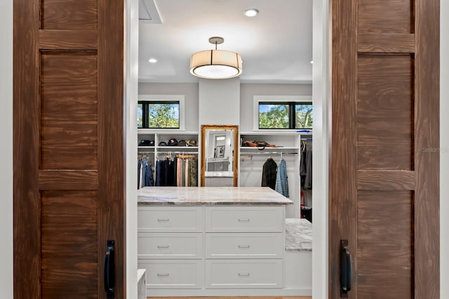 view of spacious closet