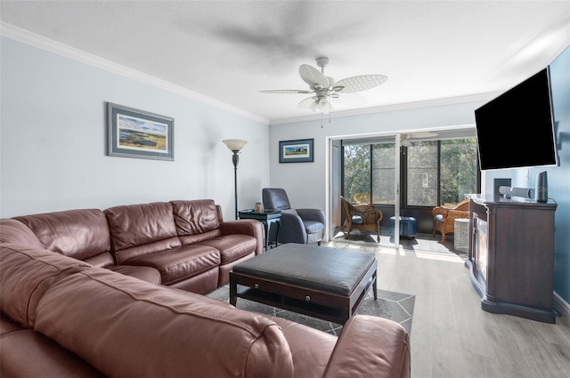 living room with ceiling fan, crown molding, and light hardwood / wood-style flooring