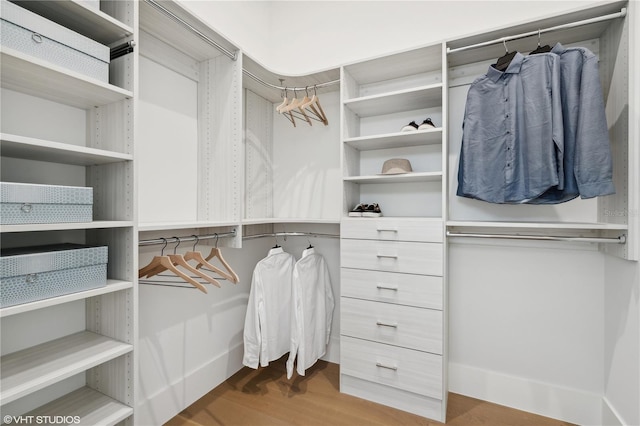 spacious closet featuring wood-type flooring