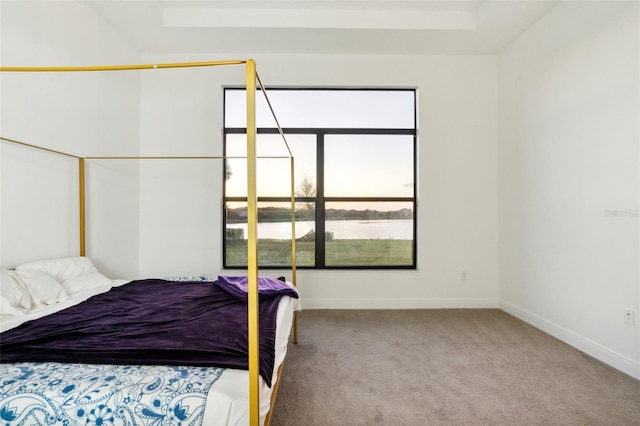 bedroom featuring a tray ceiling and light colored carpet