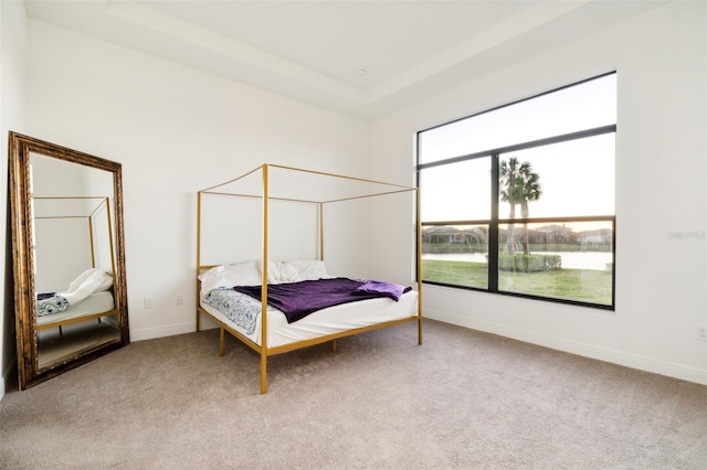 bedroom with a raised ceiling and light carpet