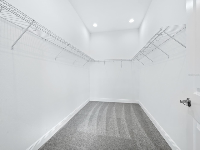 spacious closet featuring carpet floors