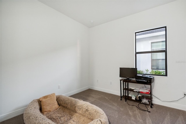 living area featuring carpet