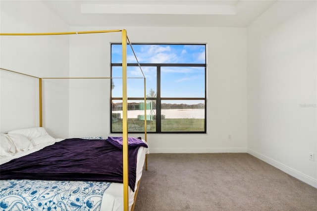 9132 Bernini Pl, Sarasota, FL 34240 - bedroom with carpet and a tray ceiling
