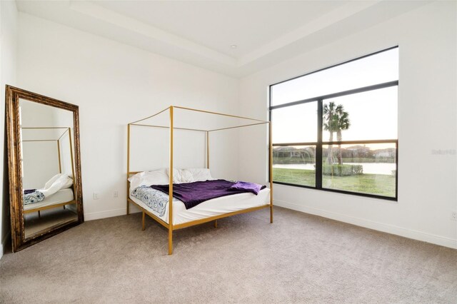 9132 Bernini Pl, Sarasota, FL 34240 - carpeted bedroom with baseboards, a raised ceiling, and a water view