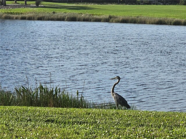 23503 Waverly Cir, Venice, FL 34293 - water view
