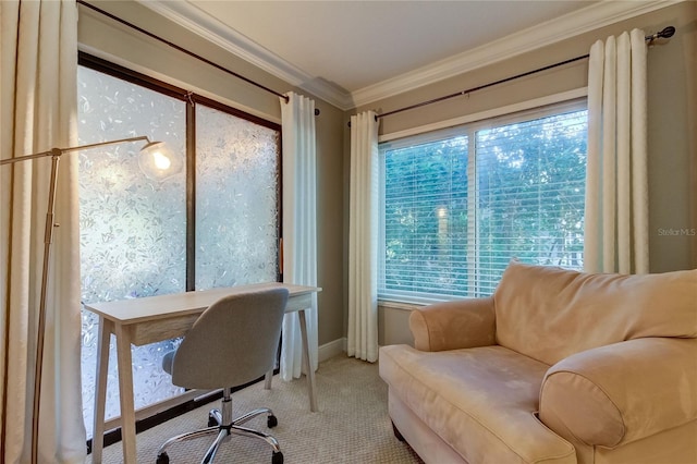 home office featuring crown molding and carpet floors