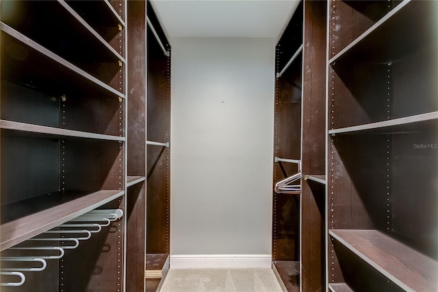 spacious closet with carpet flooring