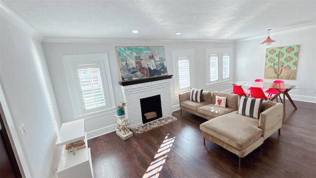 living room featuring a textured ceiling, crown molding, dark hardwood / wood-style flooring, and a fireplace