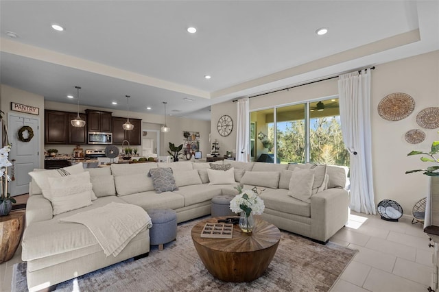 living room with a raised ceiling