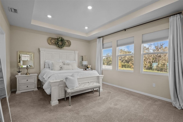 carpeted bedroom featuring a tray ceiling