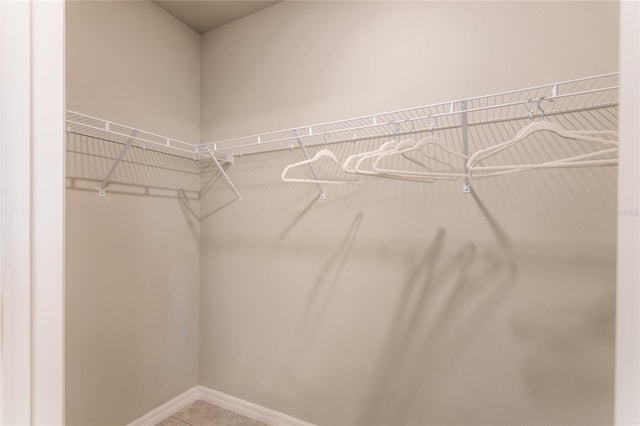 174 Green Oak Park, Rotonda West, FL 33947 - view of walk in closet