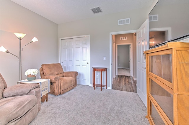 living area featuring carpet and a textured ceiling