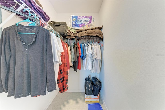 walk in closet featuring carpet floors