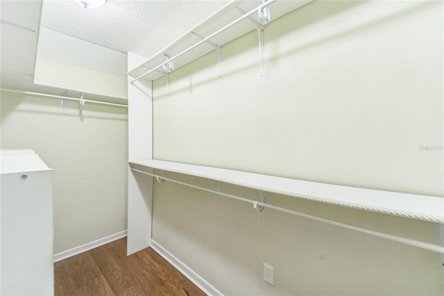 spacious closet with dark wood finished floors