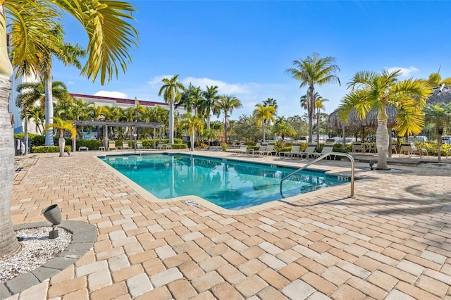 view of pool featuring a patio