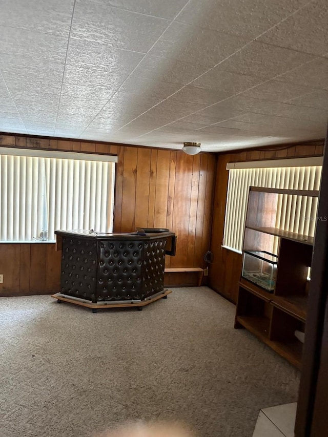 living room featuring wooden walls and carpet flooring