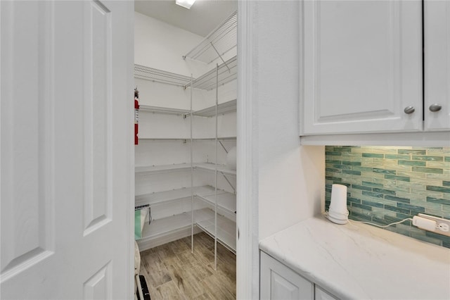 721 Manns Harbor Dr, Apollo Beach, FL 33572 - view of pantry