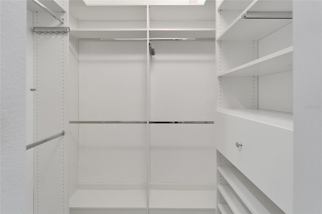 721 Manns Harbor Dr, Apollo Beach, FL 33572 - view of walk in closet