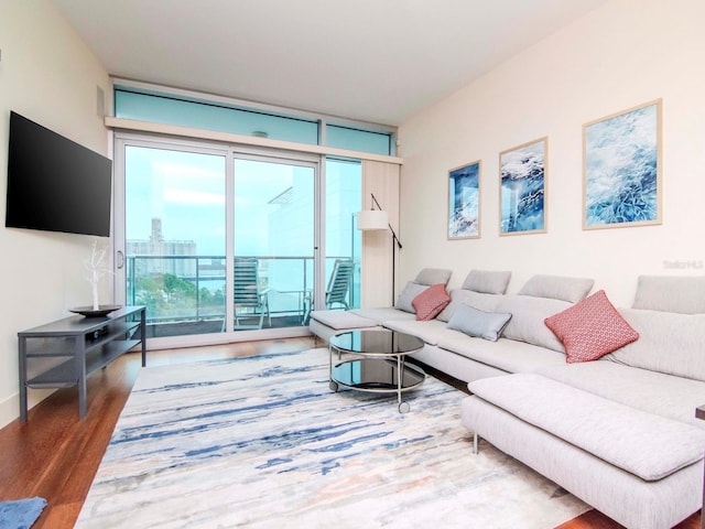 living room featuring hardwood / wood-style floors