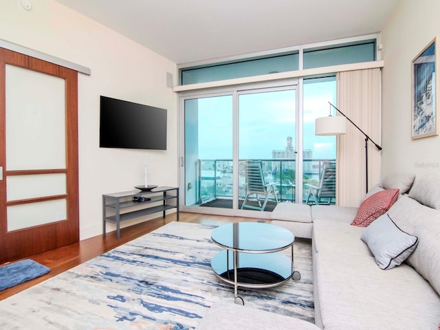 living room featuring floor to ceiling windows and hardwood / wood-style floors