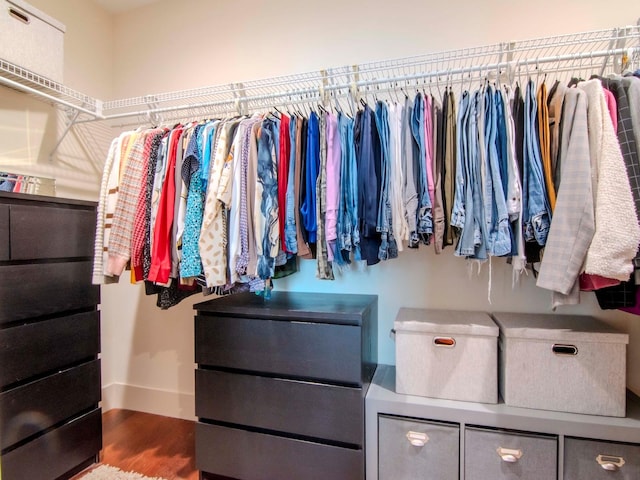 spacious closet with hardwood / wood-style flooring