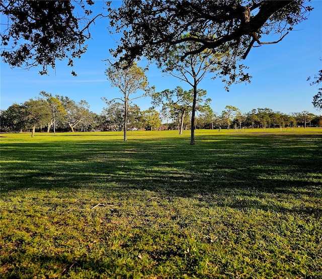 surrounding community featuring a yard