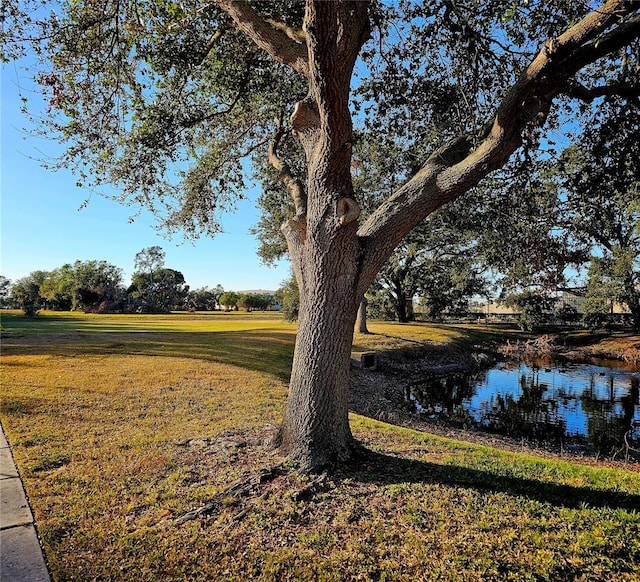 view of yard featuring a water view