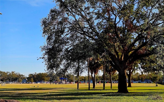 view of property's community with a lawn