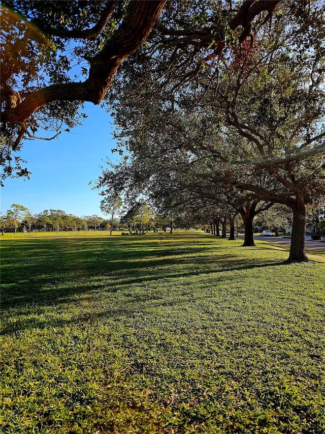 view of community featuring a lawn