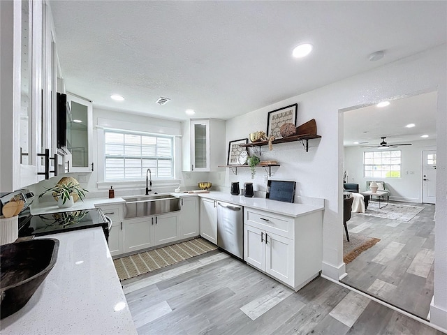 kitchen featuring white cabinets, plenty of natural light, stainless steel dishwasher, and sink