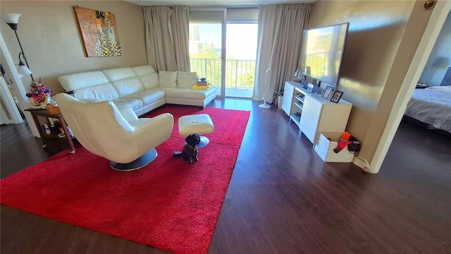 living room featuring dark hardwood / wood-style flooring