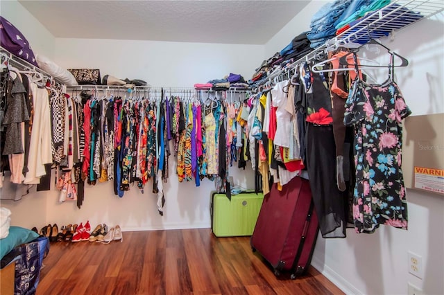 spacious closet featuring dark wood-type flooring