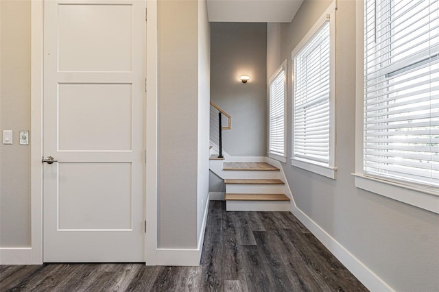 hallway featuring dark wood-type flooring