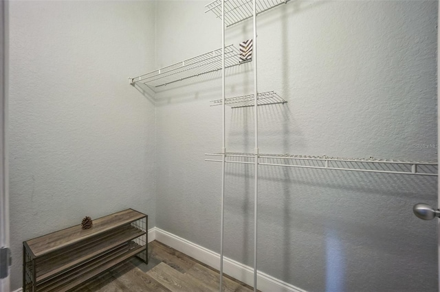 spacious closet with wood-type flooring