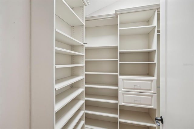 view of spacious closet