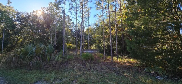 7784 W Twin Canal Ln, Homosassa, FL 34448 - photo 1
