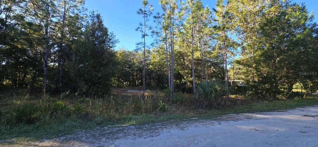 7784 W Twin Canal Ln, Homosassa, FL 34448 - photo 2