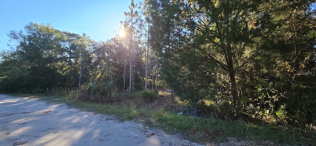 Listing photo 3 for 7784 W Twin Canal Ln, Homosassa FL 34448