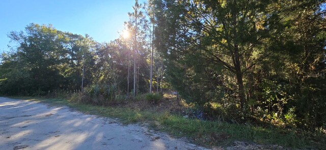 7784 W Twin Canal Ln, Homosassa, FL 34448 - photo 3