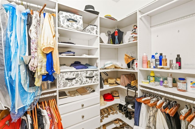 view of spacious closet