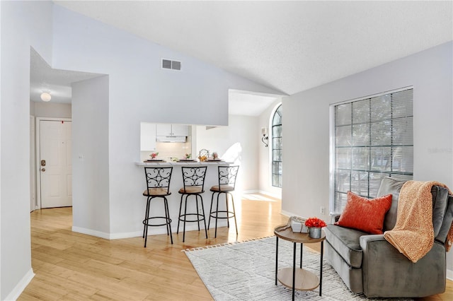 sitting room featuring lofted ceiling, a textured ceiling, and light hardwood / wood-style flooring