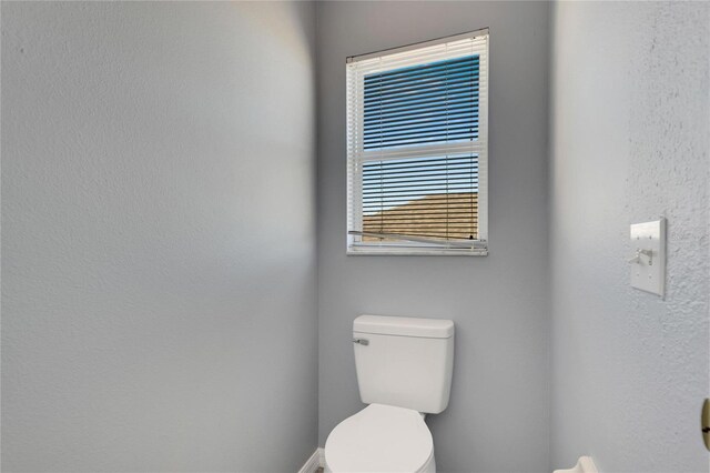 11217 Avery Oaks Dr, Tampa, FL 33625 - photo 43