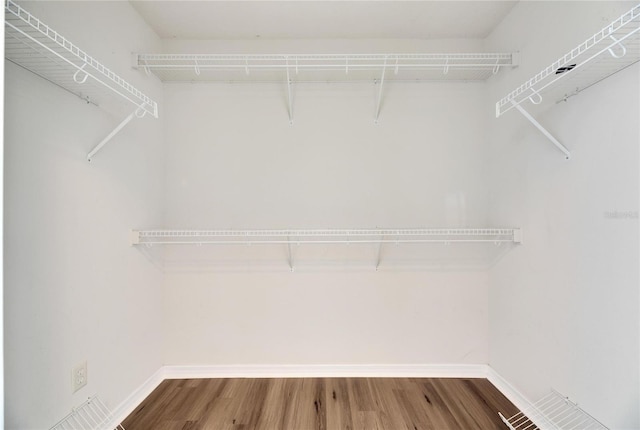 spacious closet featuring wood-type flooring