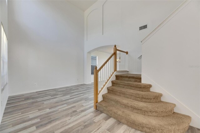 11217 Avery Oaks Dr, Tampa, FL 33625 - photo 3