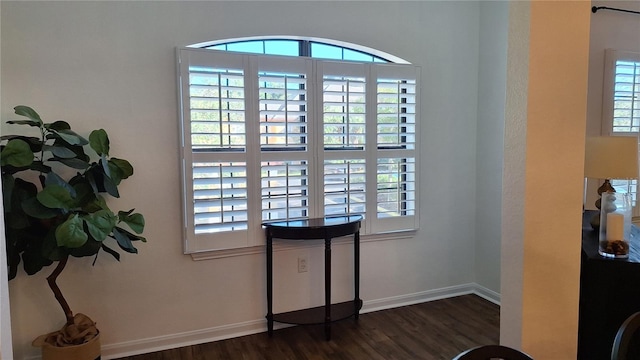 interior details with hardwood / wood-style floors