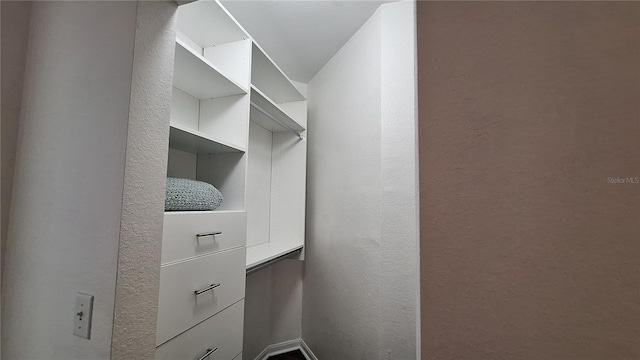 view of walk in closet