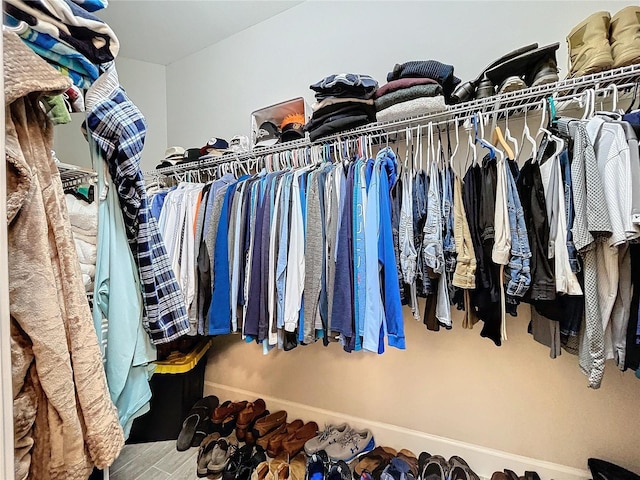 view of spacious closet