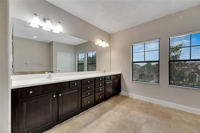 bathroom with vanity and a healthy amount of sunlight